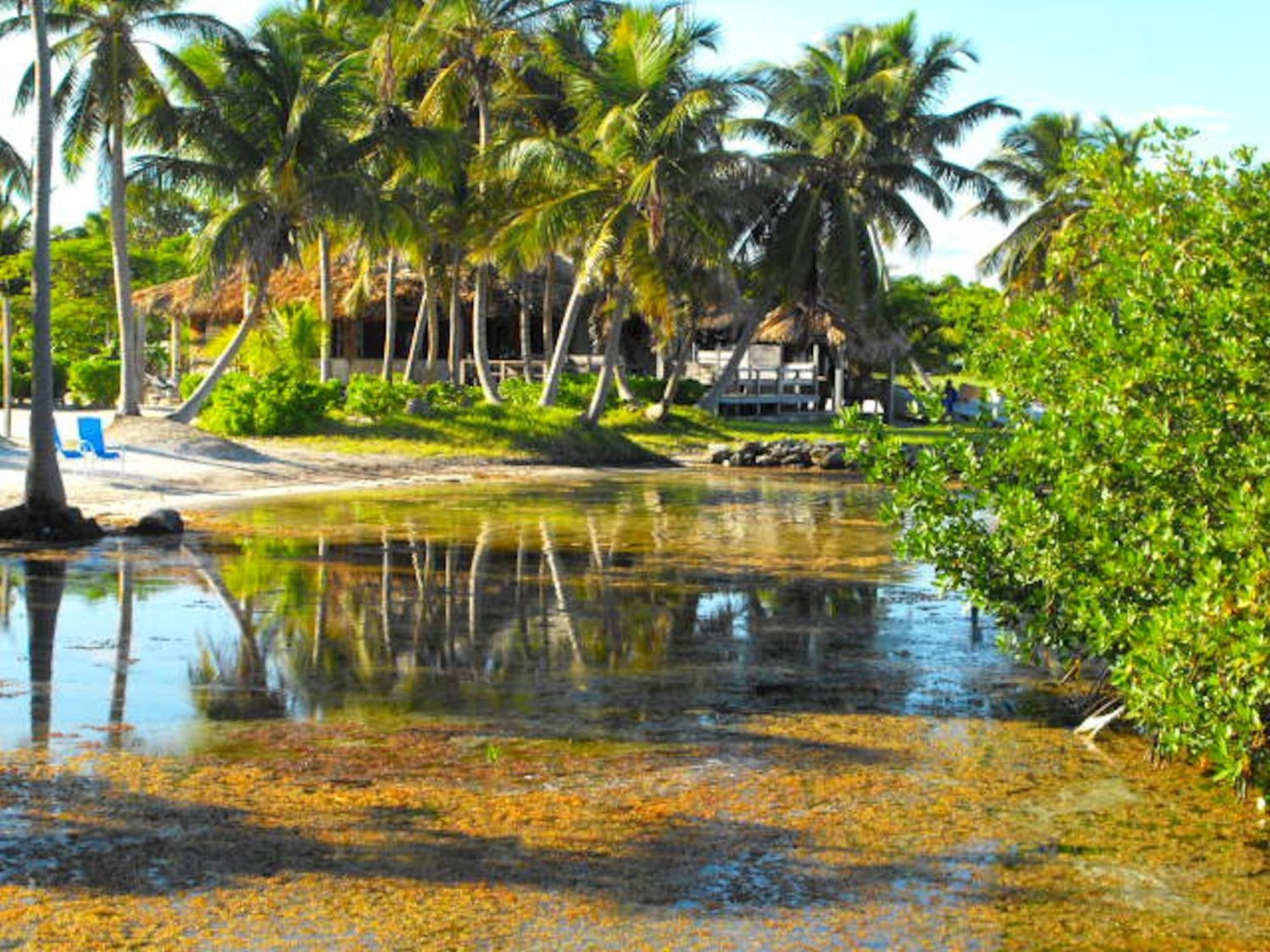 Costa De Cocos Hotel Кскалак Екстериор снимка
